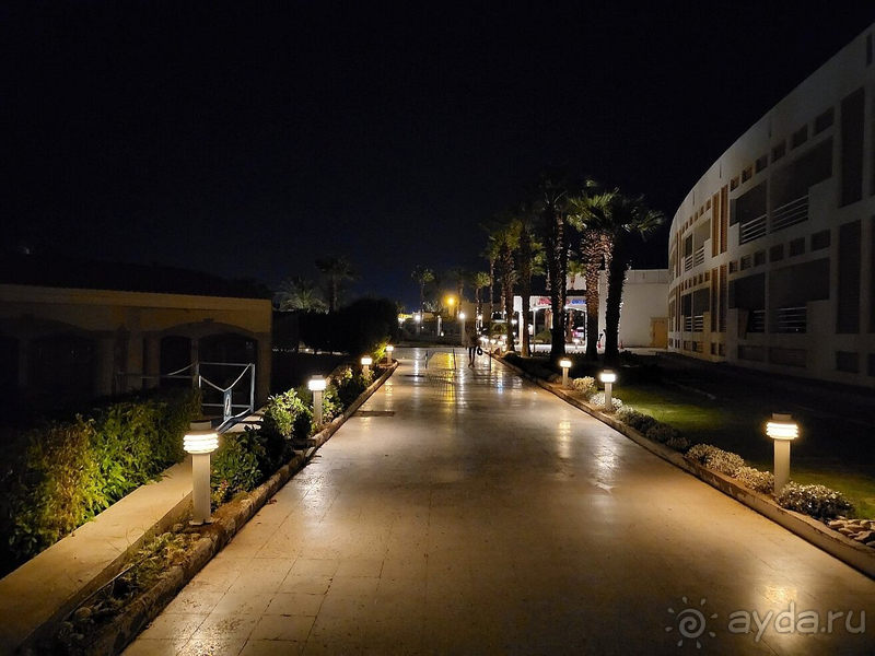 Отличный отдых в Египте!