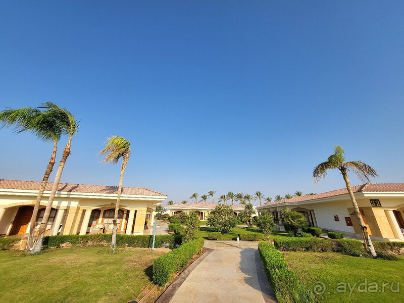 Отличный отдых в Египте!