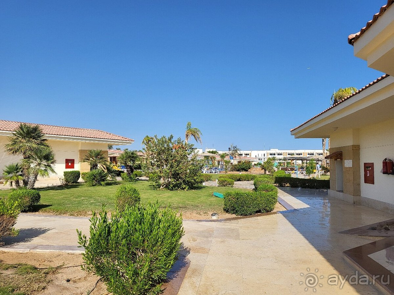 Отличный отдых в Египте!