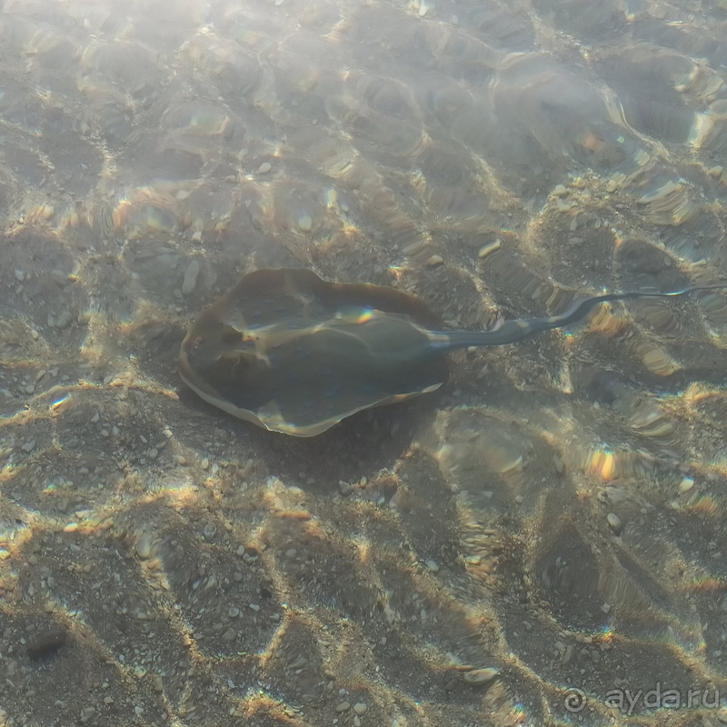 Действительно не хотелось уезжать!