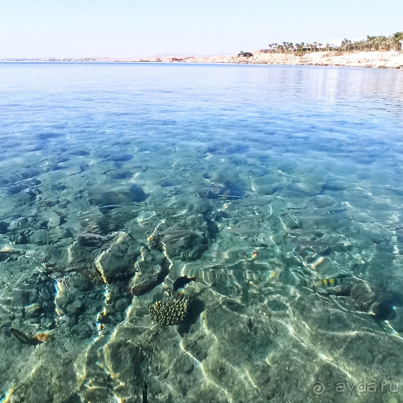 Действительно не хотелось уезжать!