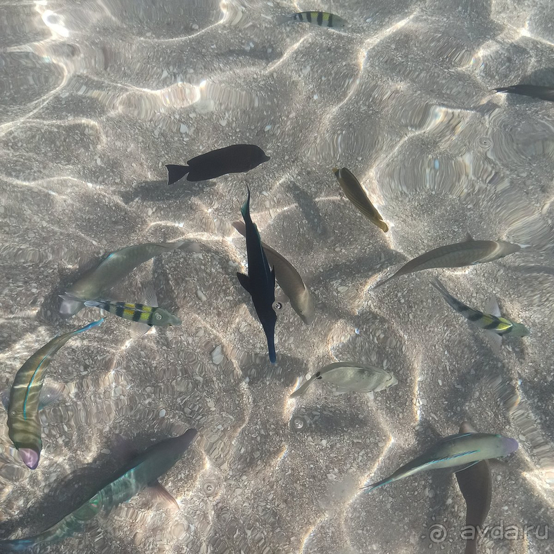 Действительно не хотелось уезжать!