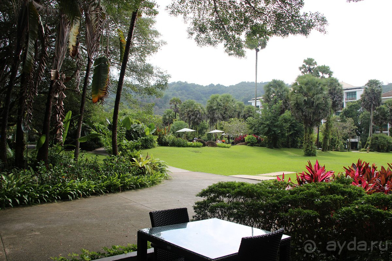 Долгожданный Тай