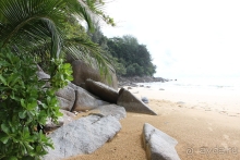 Долгожданный Тай