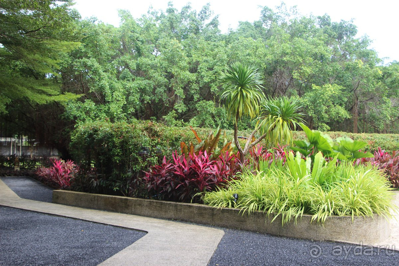 Долгожданный Тай