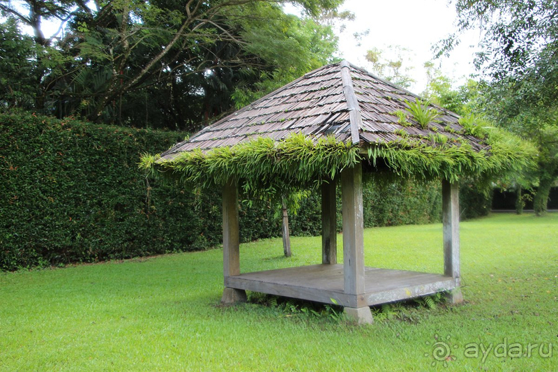 Долгожданный Тай