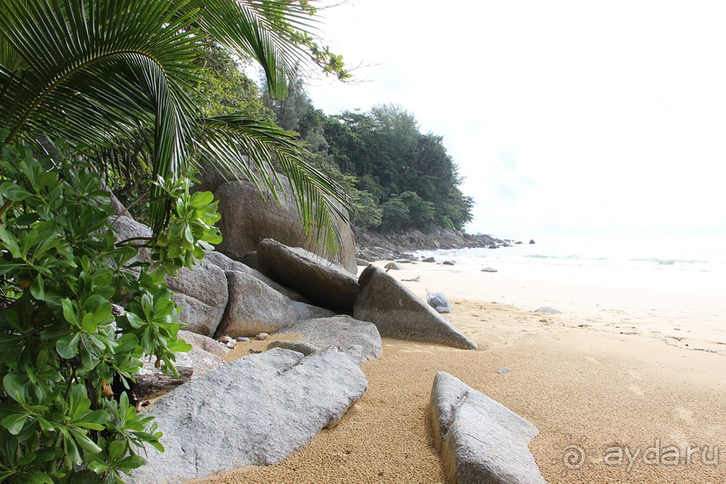 Долгожданный Тай