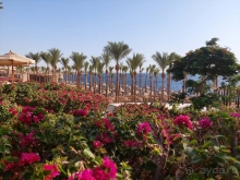 Экономия на всем ((