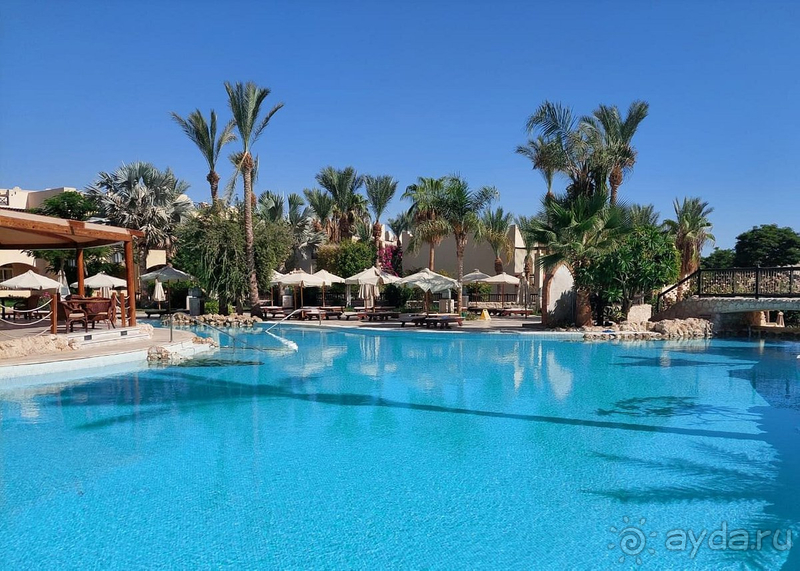 Экономия на всем ((