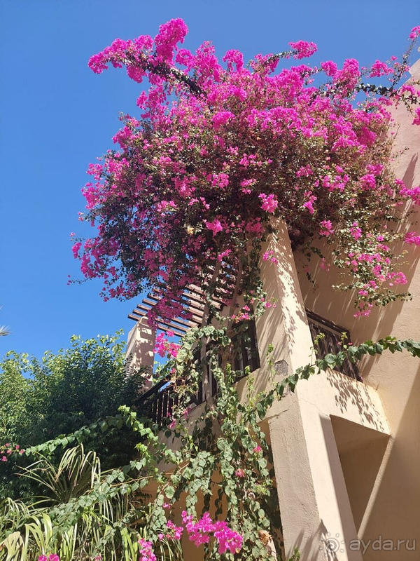 Экономия на всем ((