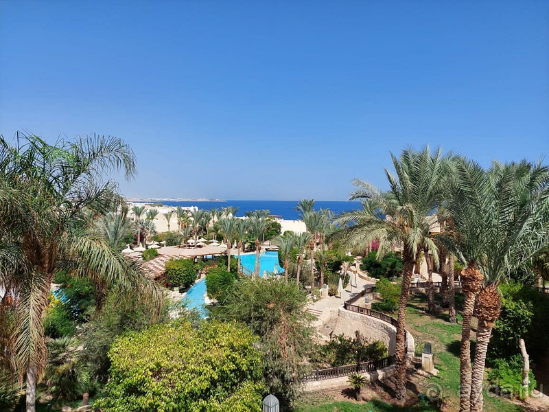 Экономия на всем (( Экономия на всем ((