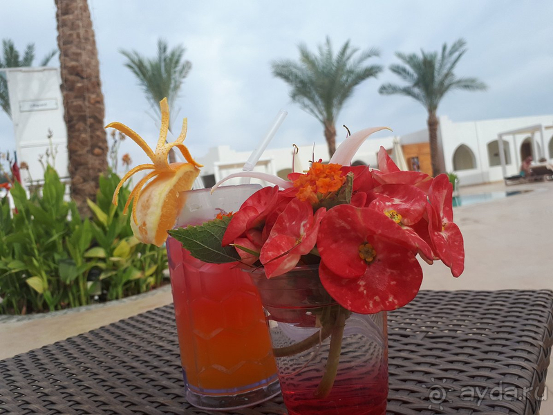 Шикарный отдых в лучшем отеле! Шикарный отдых в лучшем отеле!