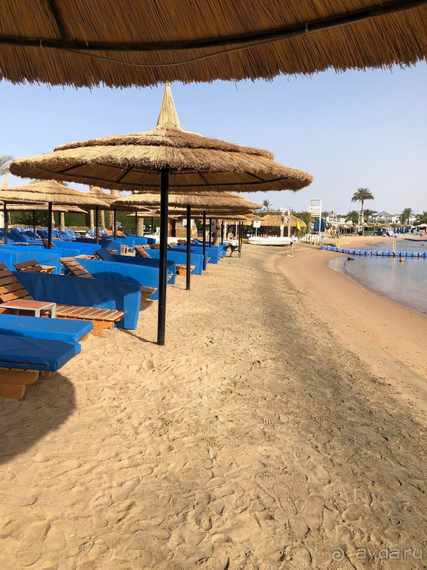 фото Marina Sharm Hotel