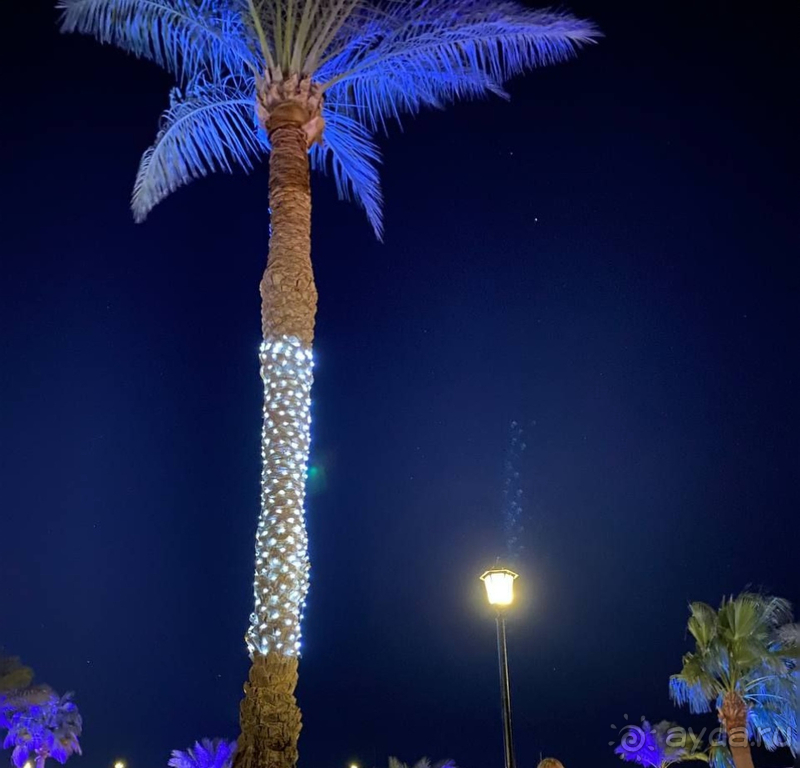 Замечательный египетский отель Grand Oasis Resort в Шарм-эль-Шейхе