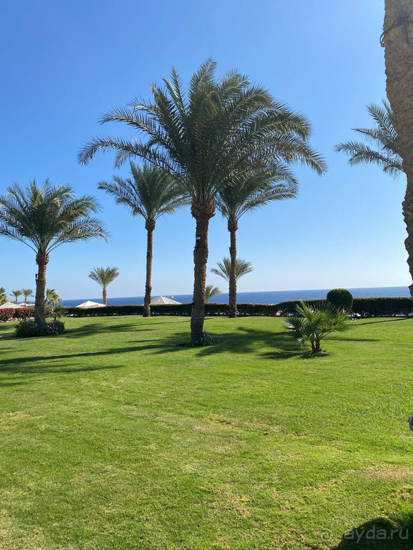 Замечательный египетский отель Grand Oasis Resort в Шарм-эль-Шейхе