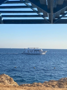 Замечательный египетский отель Grand Oasis Resort в Шарм-эль-Шейхе