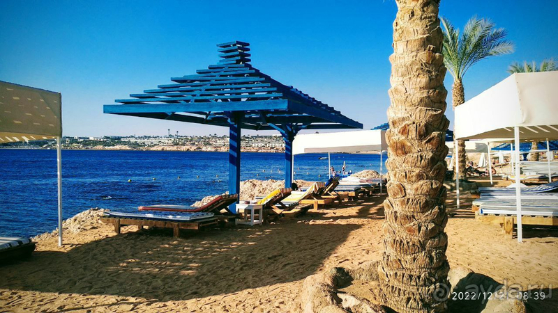 Замечательный египетский отель Grand Oasis Resort в Шарм-эль-Шейхе