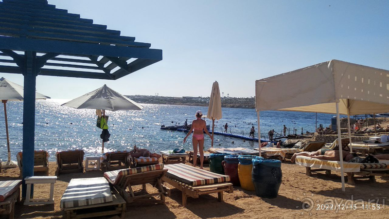 Замечательный египетский отель Grand Oasis Resort в Шарм-эль-Шейхе