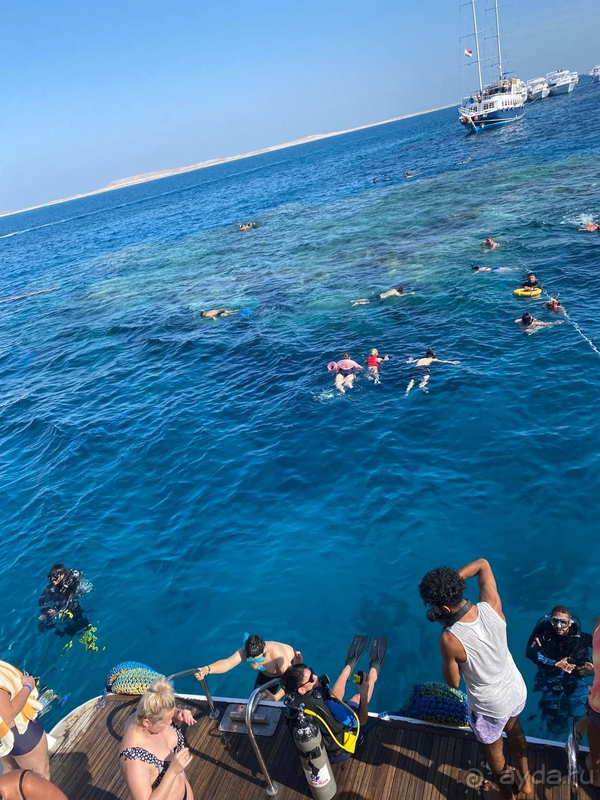 Замечательный египетский отель Grand Oasis Resort в Шарм-эль-Шейхе