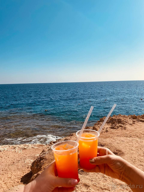 Замечательный египетский отель Grand Oasis Resort в Шарм-эль-Шейхе