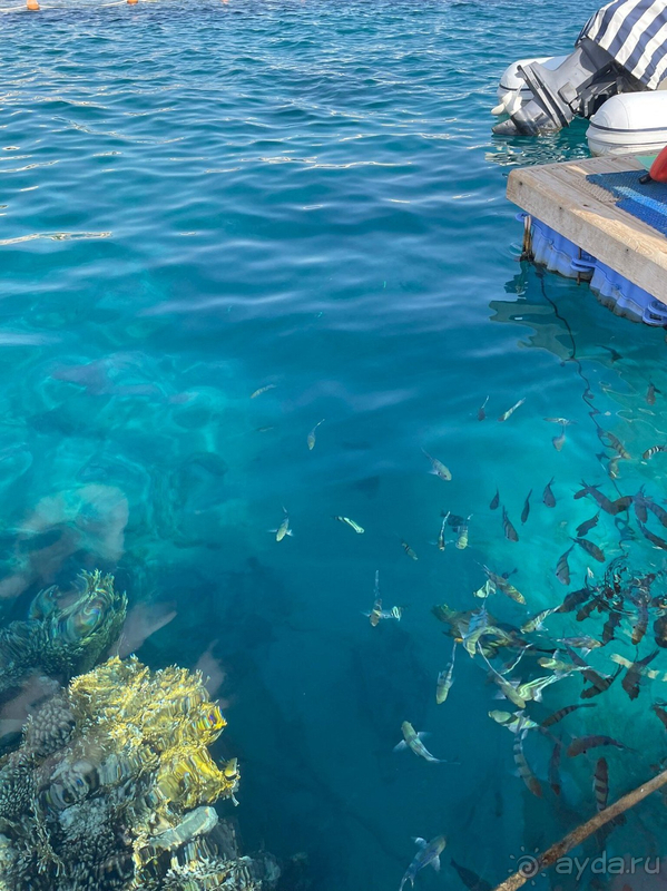 Декабрь в Шарме