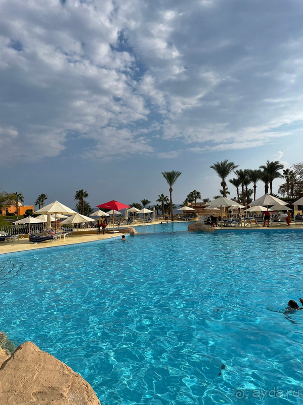 Декабрь в Шарме