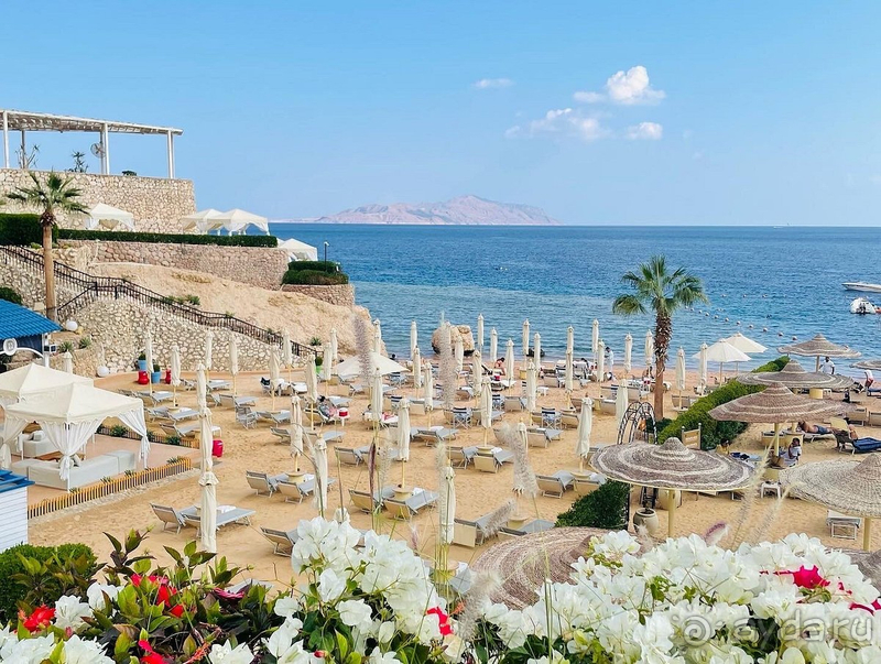 Декабрь в Шарме