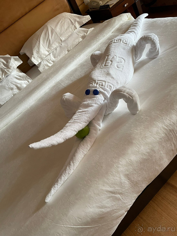 Декабрь в Шарме