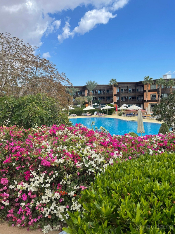 Декабрь в Шарме