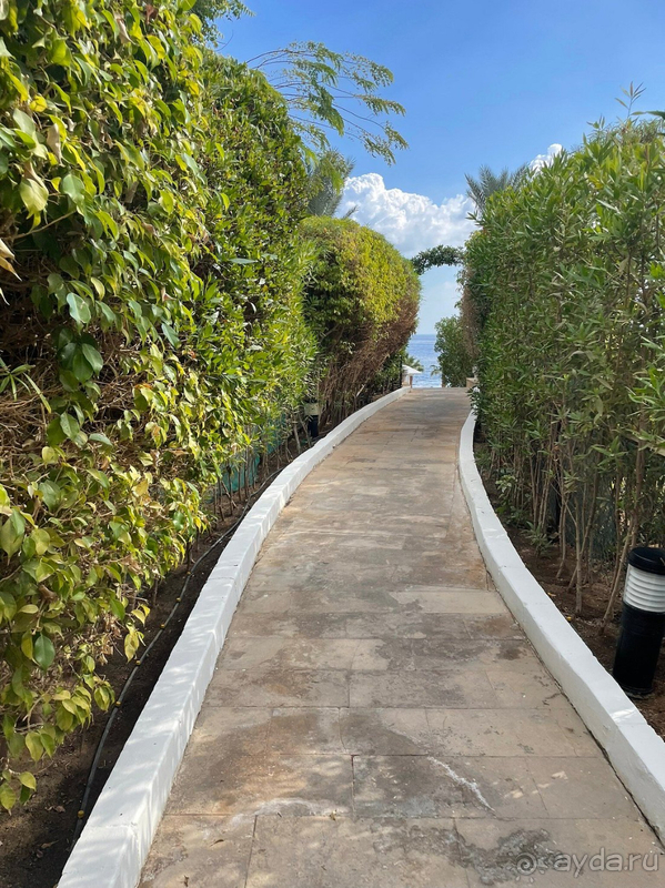 Декабрь в Шарме