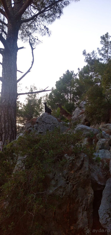 Прекрасный отель