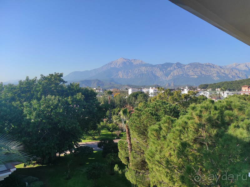 Прекрасный отель