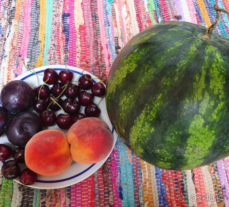 Лучший семейны отдых 