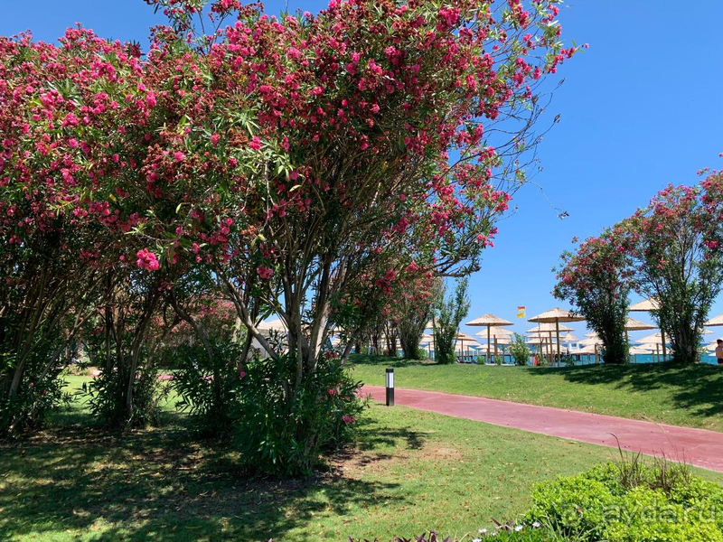 Это был лучший сервис, который мы видели в Турции. 