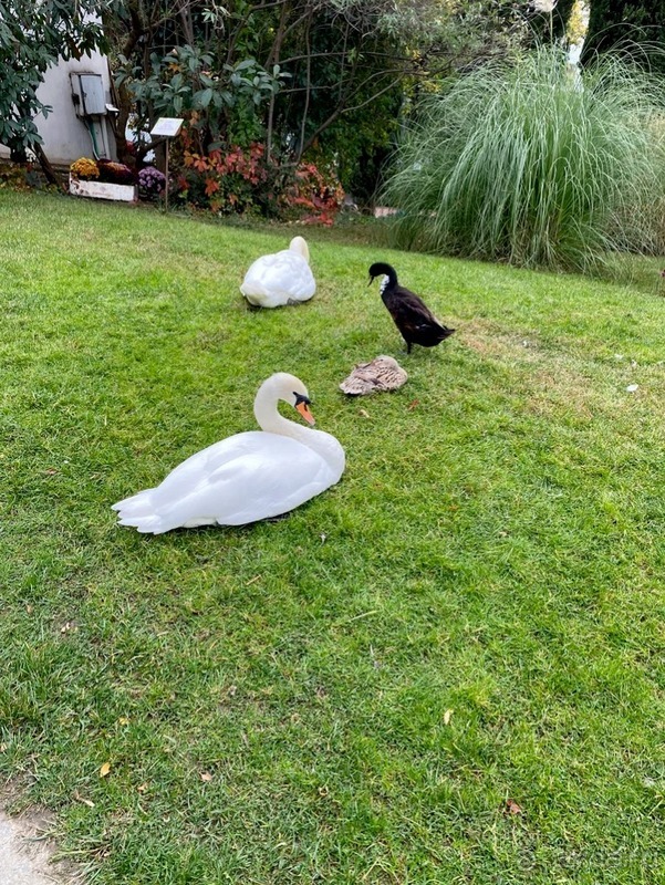 Отличный семейный отель