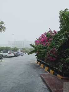 Lou Lou Beach Resort не рекомендую