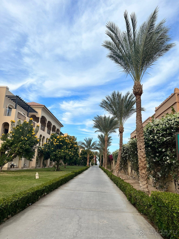 Отличное соотношение цена-качество