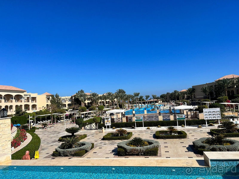 Отличное соотношение цена-качество