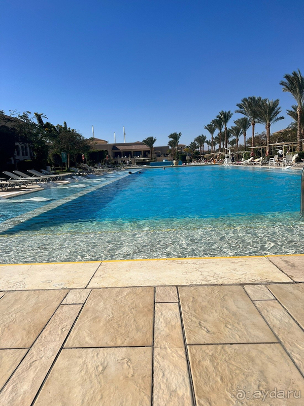 Отличное соотношение цена-качество