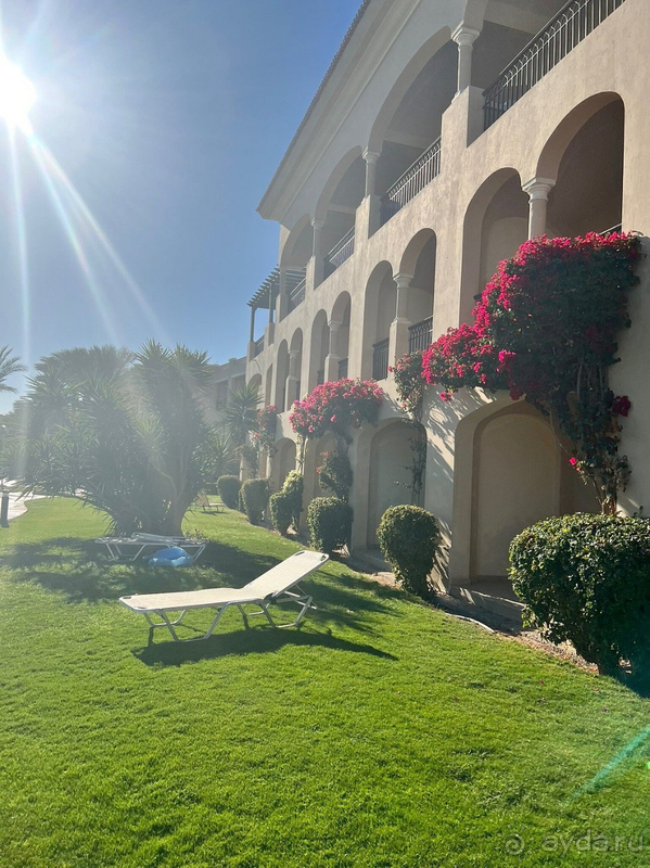 Отличное соотношение цена-качество