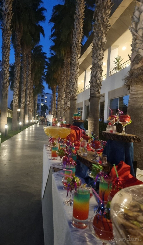 Красивый отель, ужасный wi-fi, не самый чистый пляж 🌴