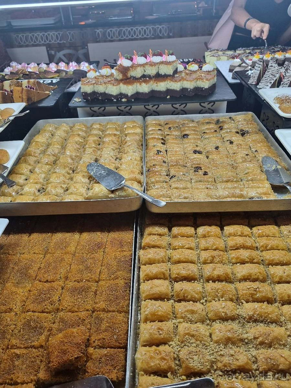 Красивый отель, ужасный wi-fi, не самый чистый пляж 🌴