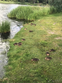 Хороший отель, если есть машина