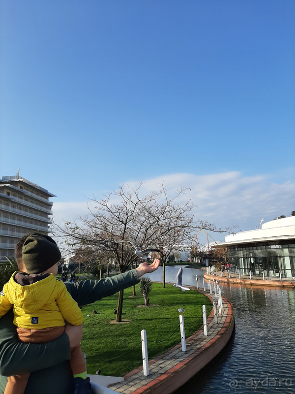 Отдых в Сочи Парк Отель вне сезона