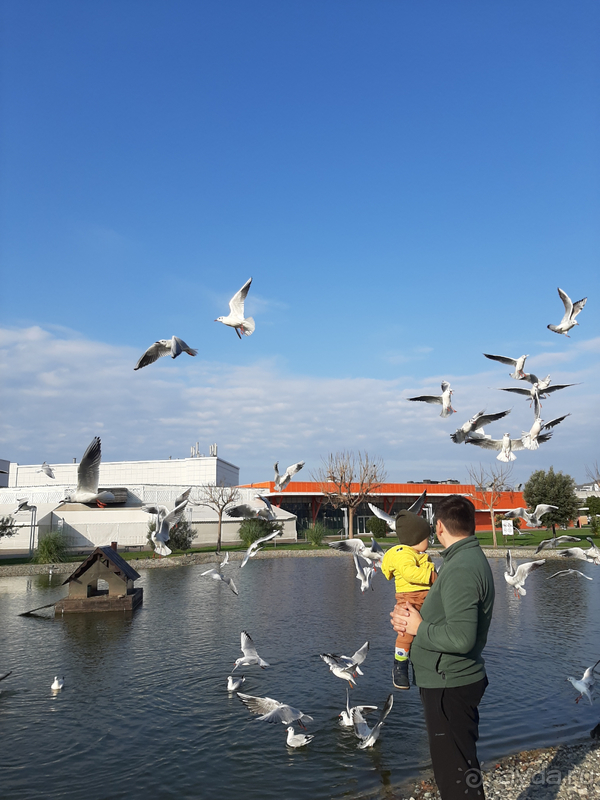 Отдых в Сочи Парк Отель вне сезона