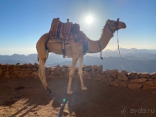 Оазис среди пустыни.