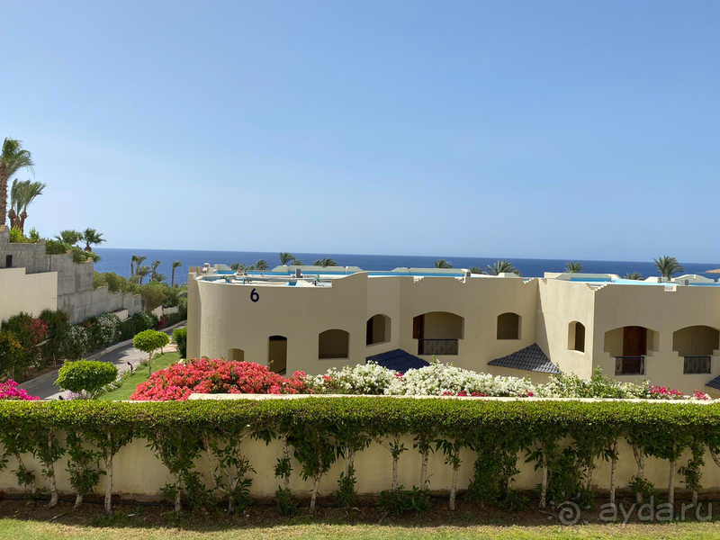 Оазис среди пустыни.