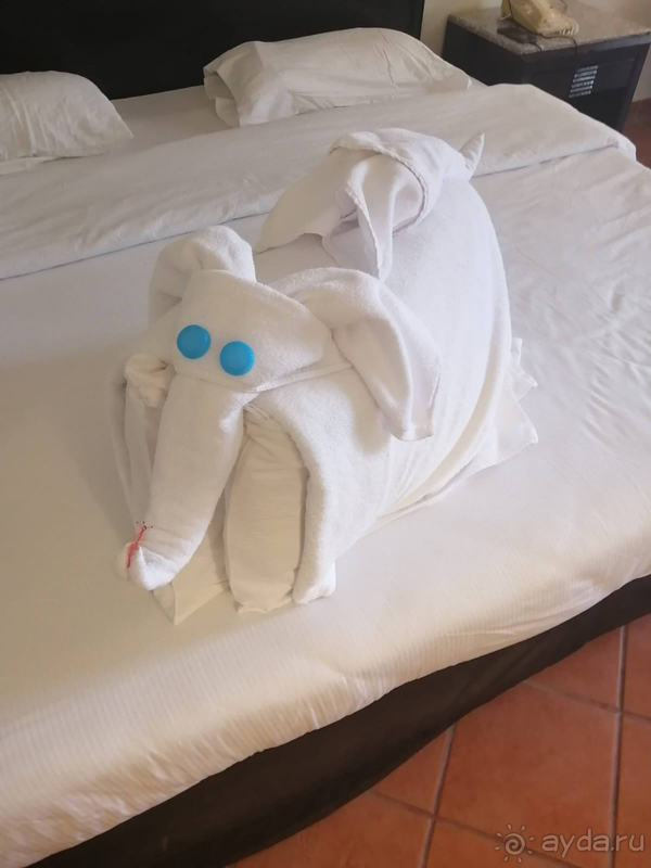 Отличный отель с шикарным рифом