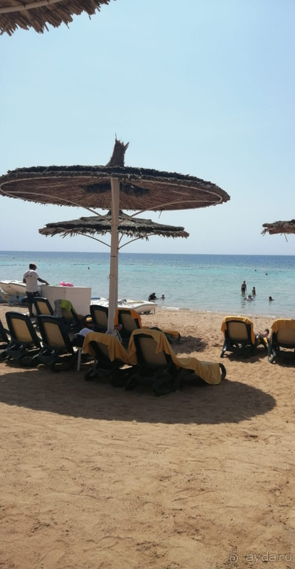 Отличный отель с шикарным рифом