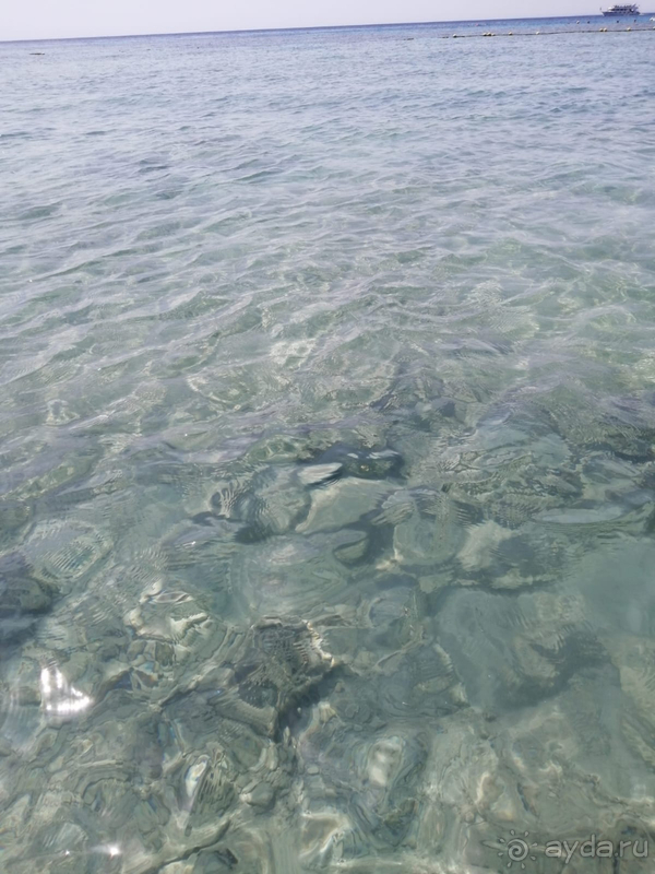 Отличный отель с шикарным рифом